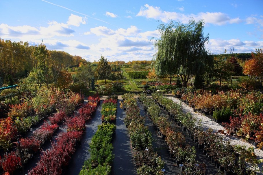 Питомник Архиленд в Березовке