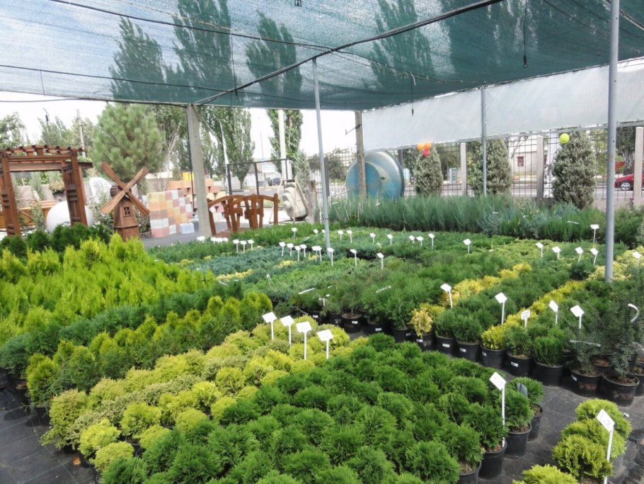 Садовый центр Паршина