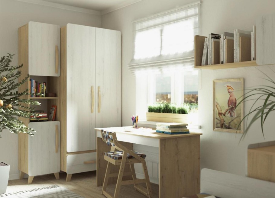 38 Попугаев детская Риган