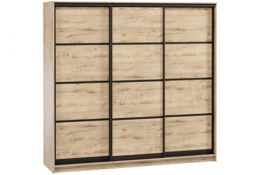 Шкаф-купе Борнео-3-2