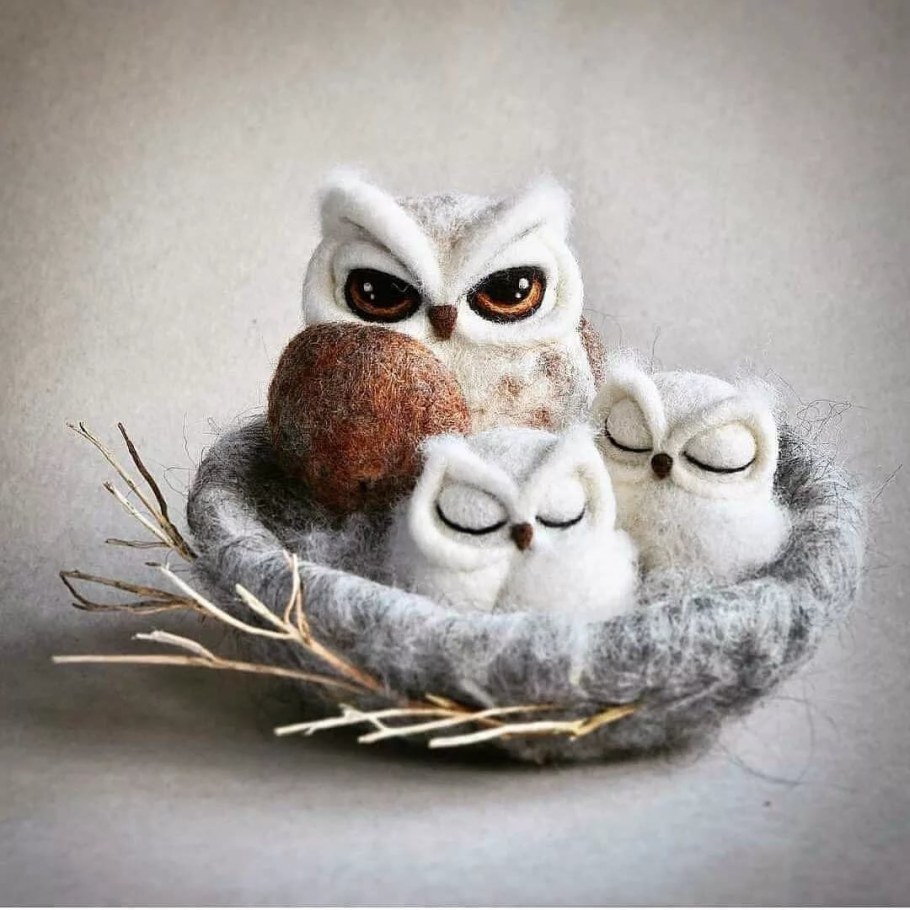 Совята из Войлока