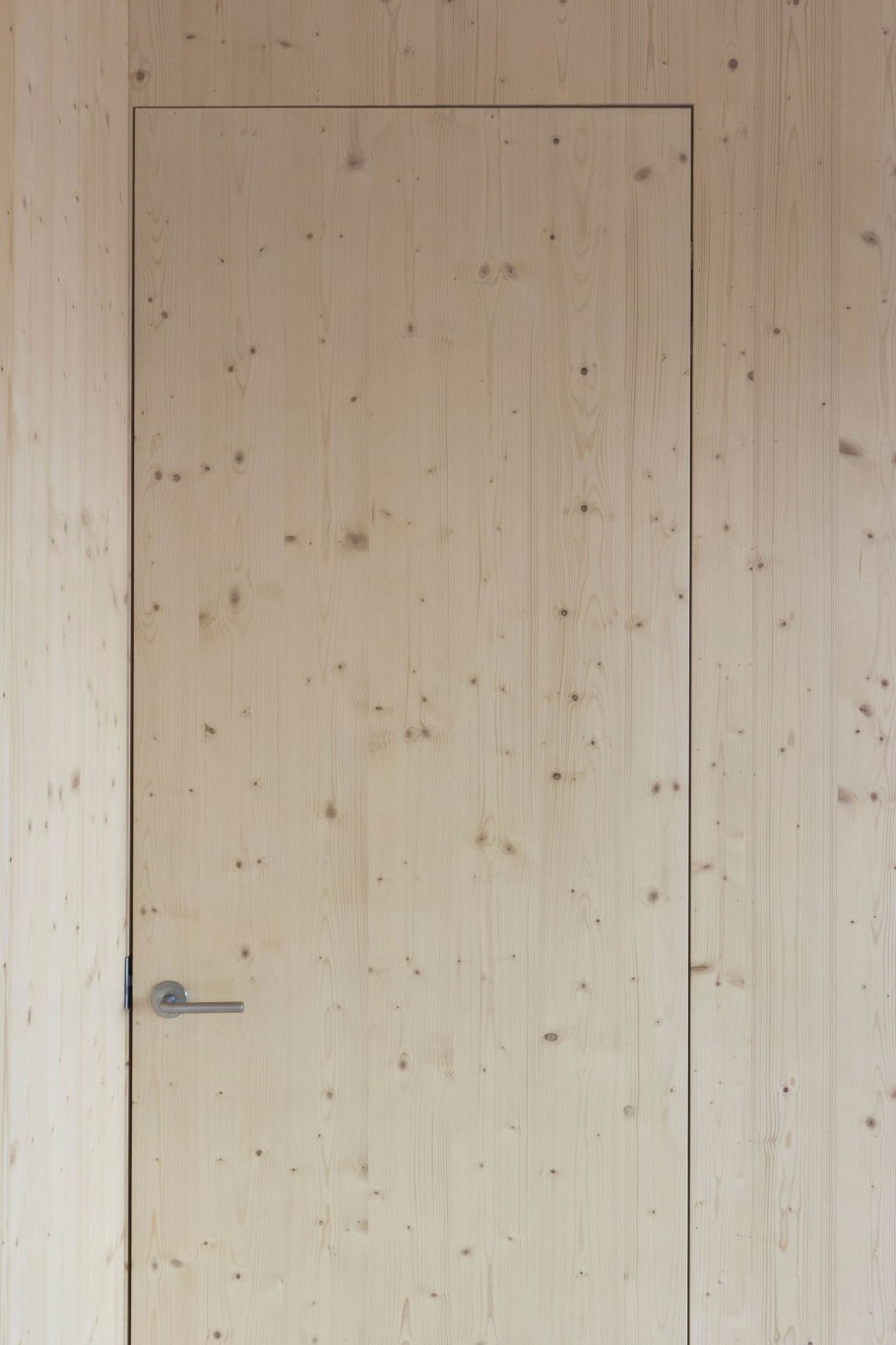 Фанерная дверь