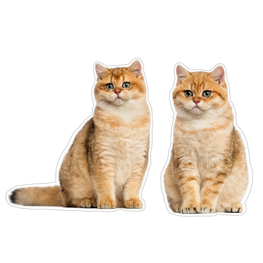 Стикеры к Дню кошек