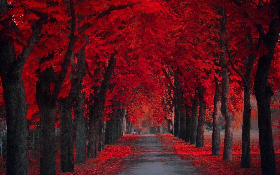 Черно красный фон