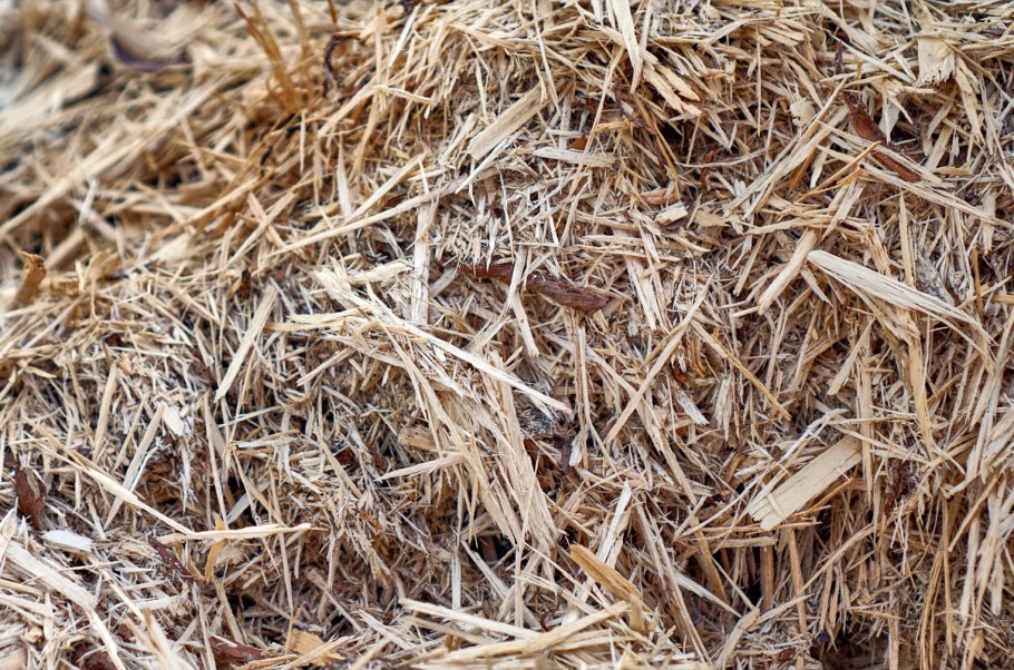 Щепа для арболита