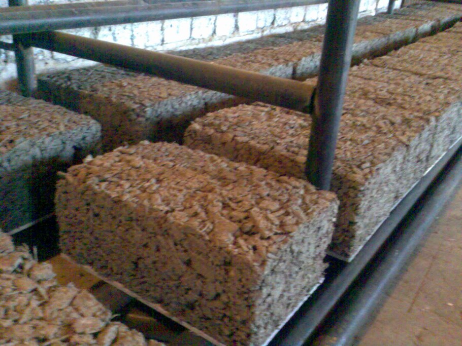 Арболит из соломы