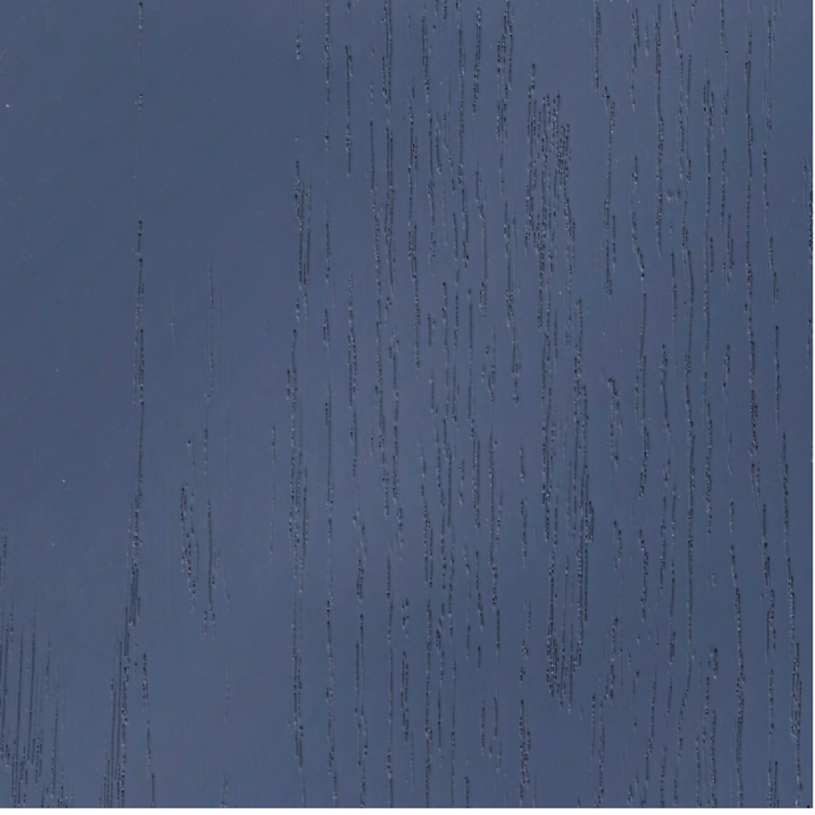 Дуб Адриатика 160