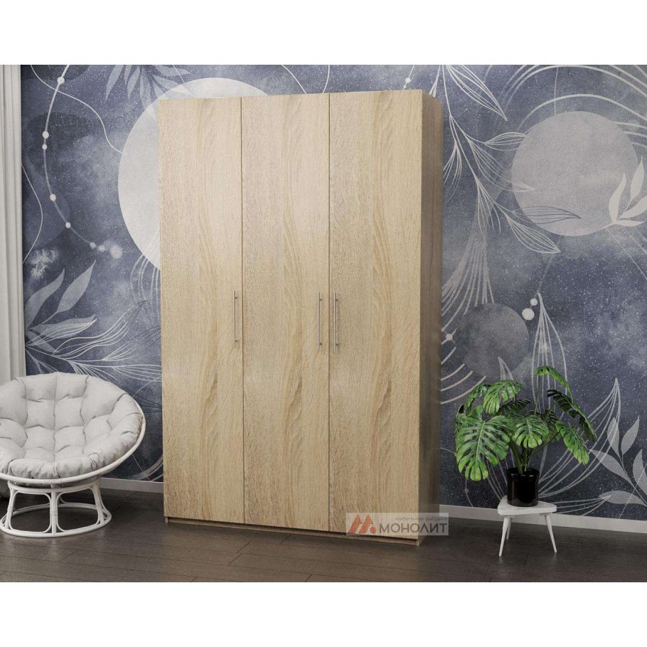 Шкаф-купе Турин 120х60х212