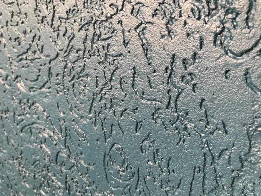 Короед глянцевый