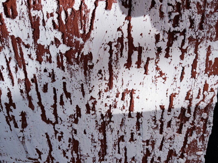 Короед 2 цвета