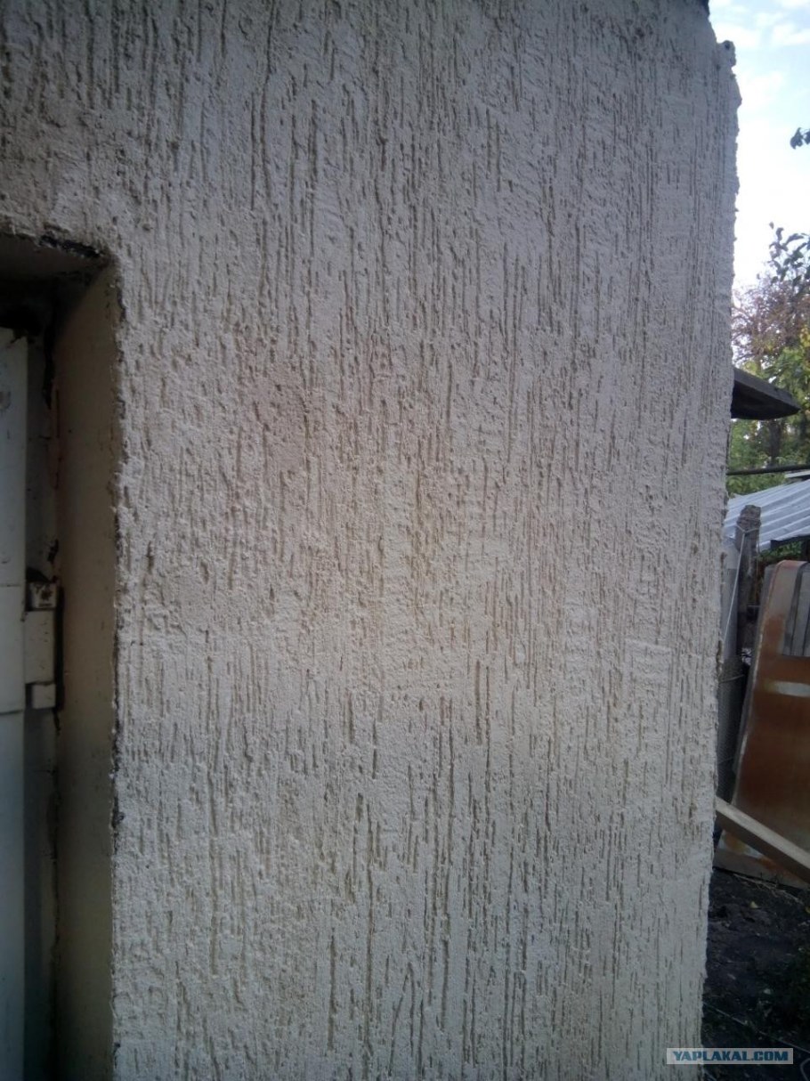 Короед дождик на фасаде