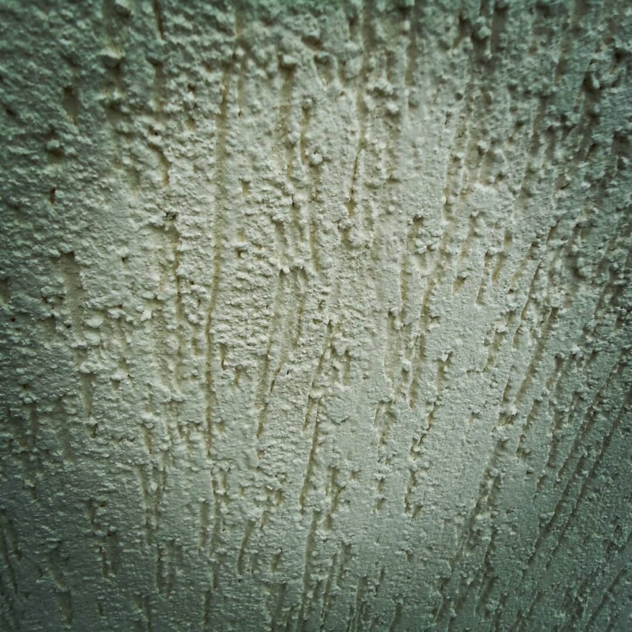 Обои короед