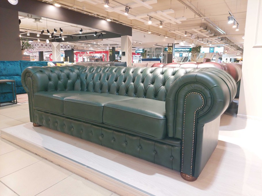 Честер локация Трой