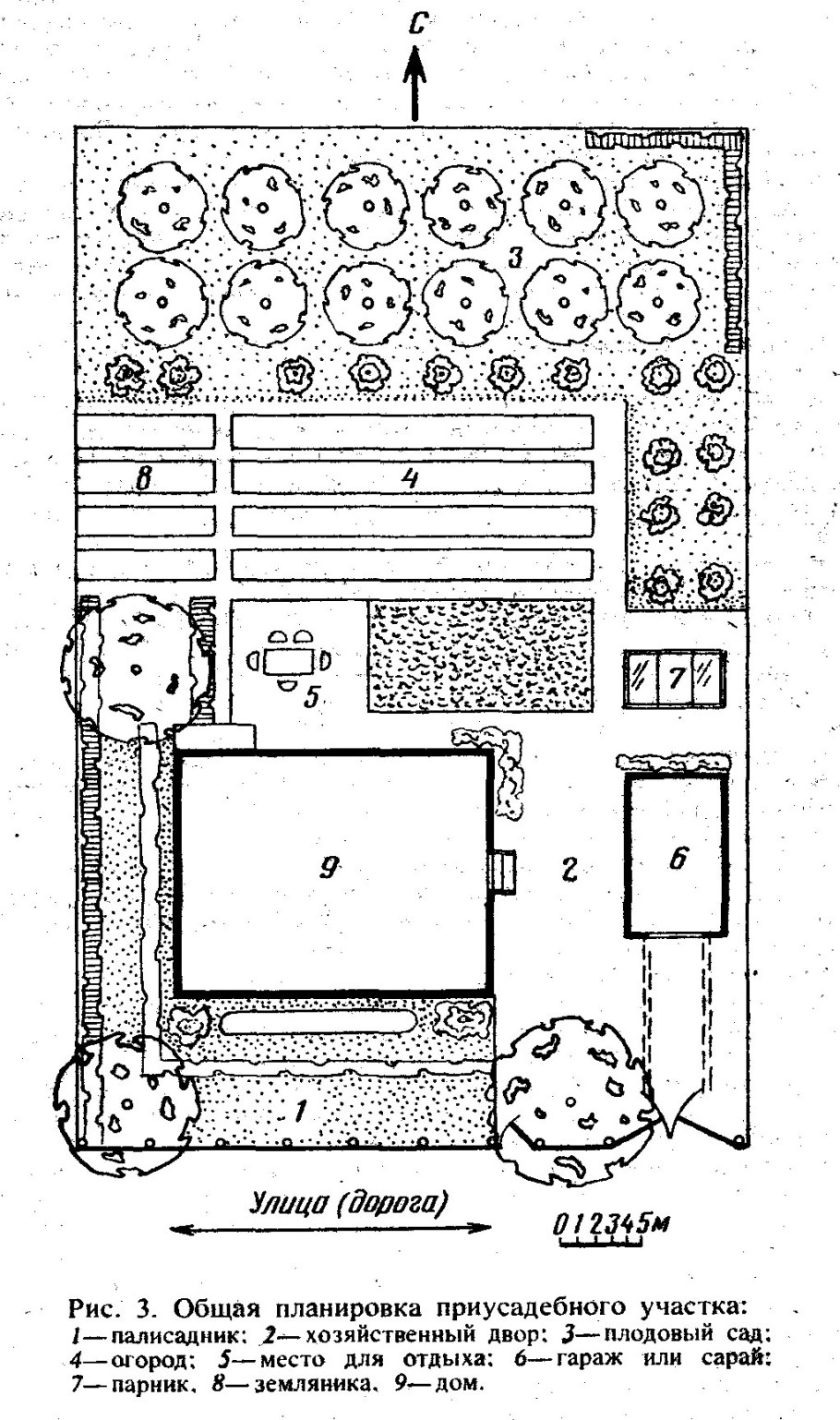 Схема посадки плодового сада на 10 сотках