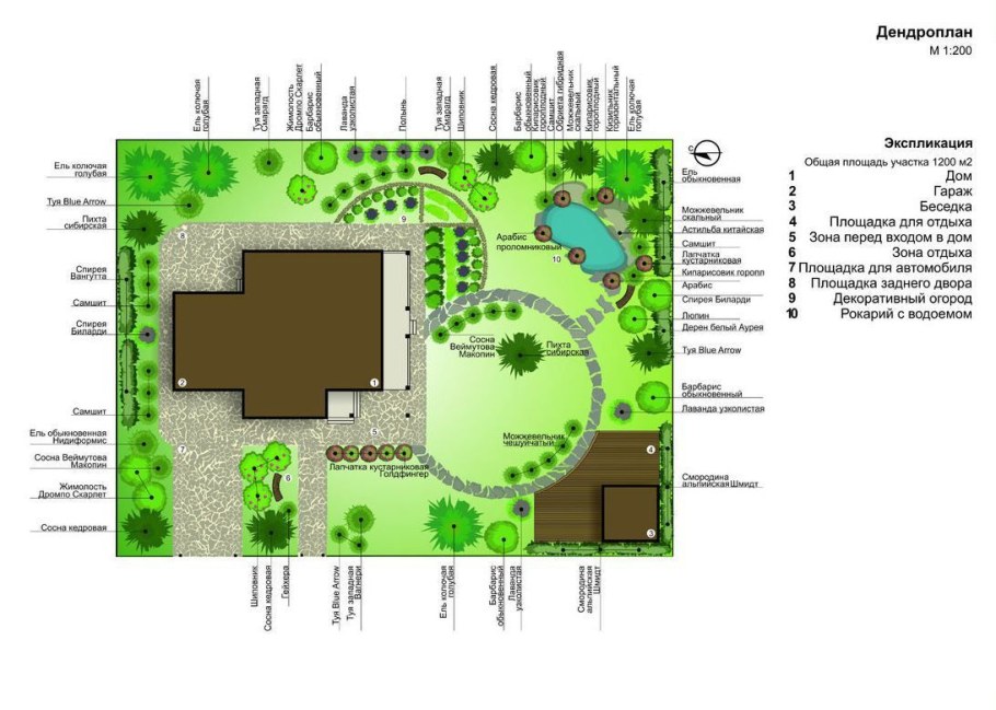 Дендроплан участка 10 соток схемы