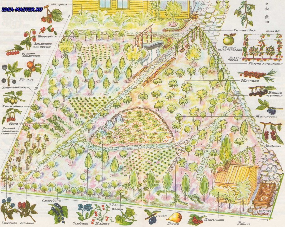 Схема посадки плодово ягодного сада