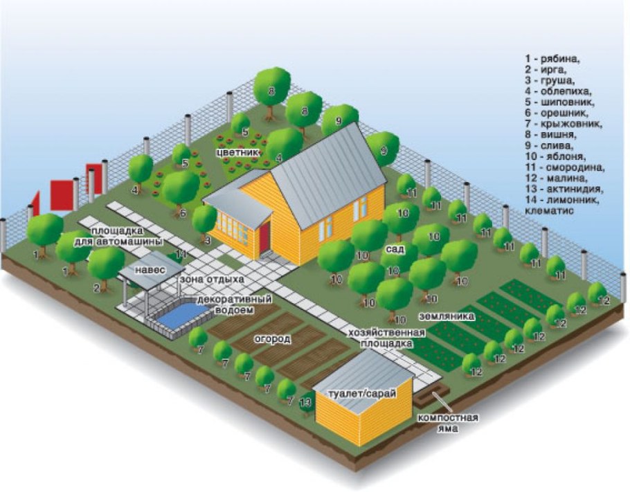 Схема посадки плодовых деревьев на участке 10 соток