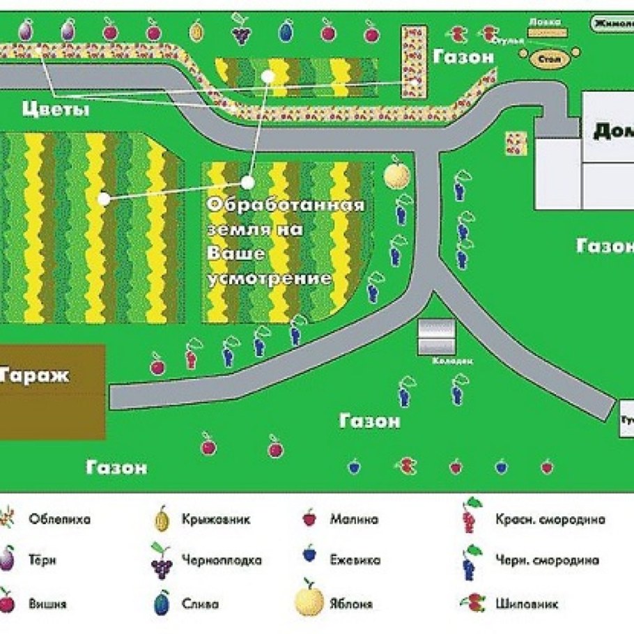 Схема посадки деревьев и кустарников на участке