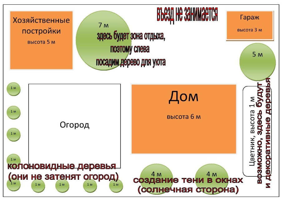 Расположение плодовых деревьев на участке по сторонам света