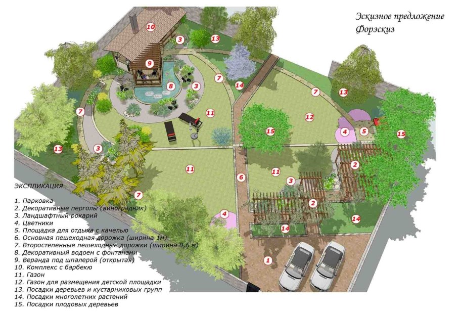 План расположения деревьев на участке