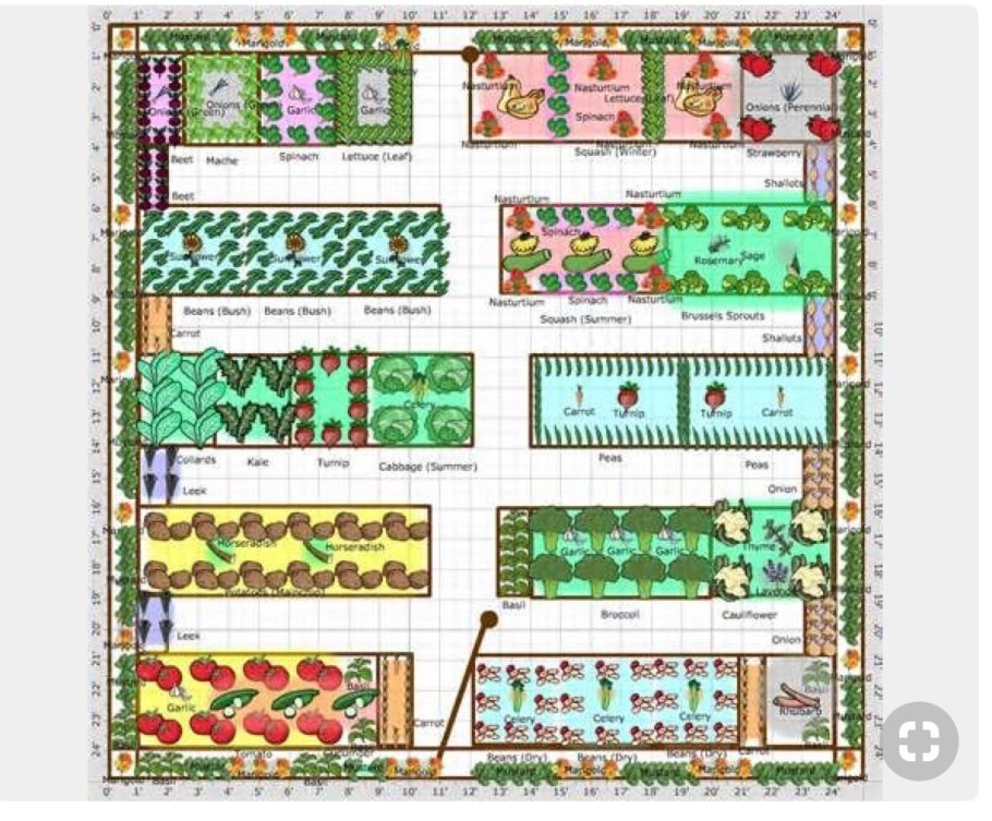 Планировка посадки овощей на огороде схемы