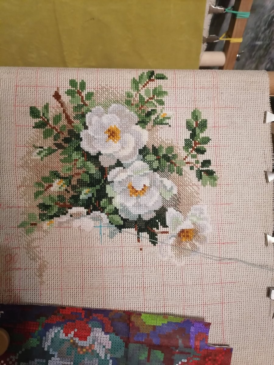 Вышивка крестом Риолис белый шиповник схема