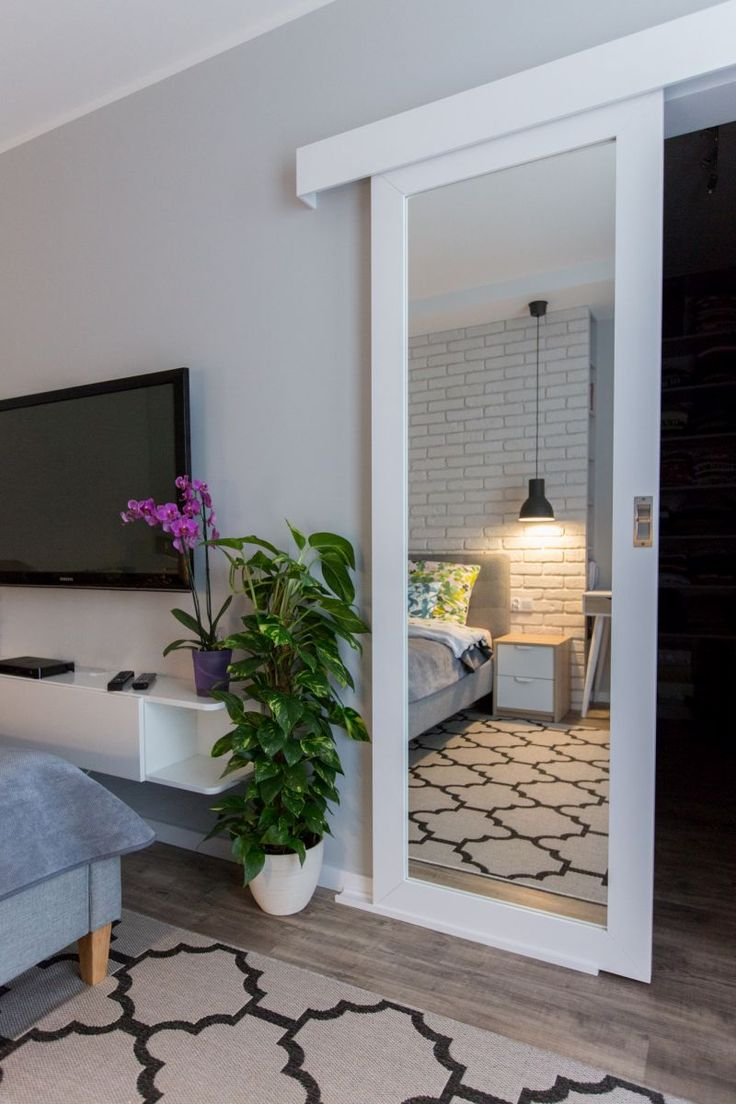 Раздвижная дверь с зеркалом