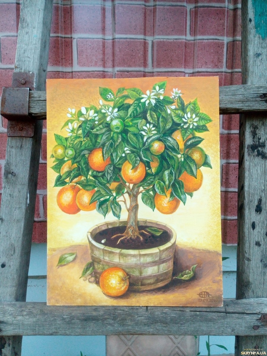 Макли Уильям апельсиновое дерево