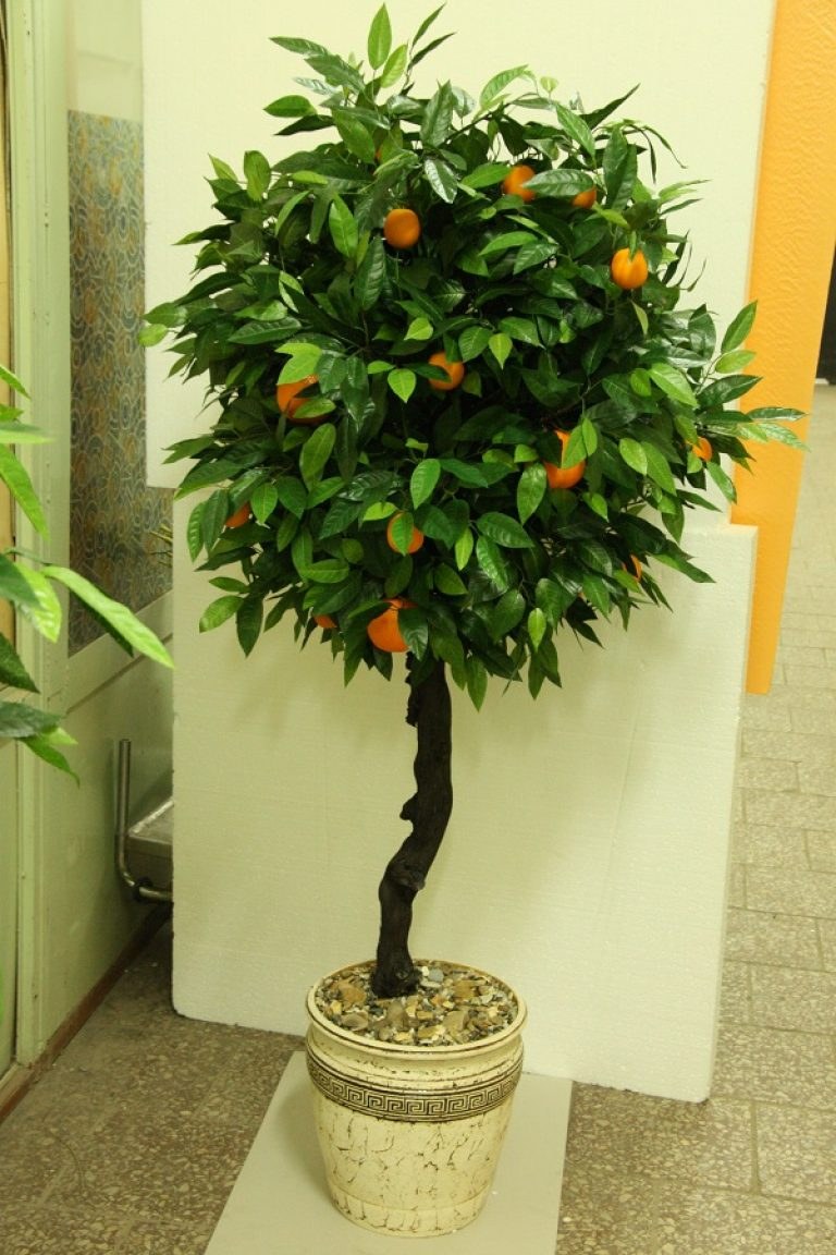 Искусственное апельсиновое дерево