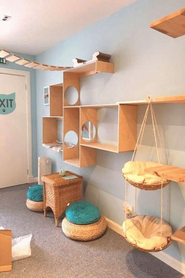 Игровая комната для кошек