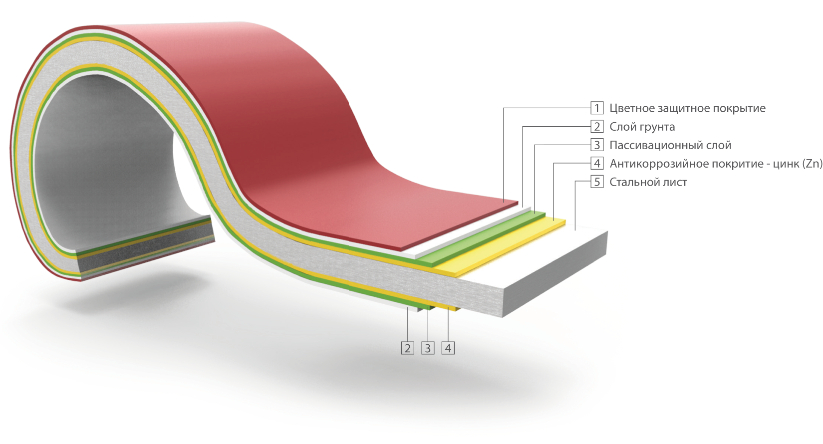 Толщина рулонного покрытия. Сталь рулонная оцинкованная с полимерным покрытием. Слои металла с полимерным покрытием. Оцинкованная сталь с полимерным покрытием в рулонах. BTNFK C gjkbvthysv gjrhsnsbtv.