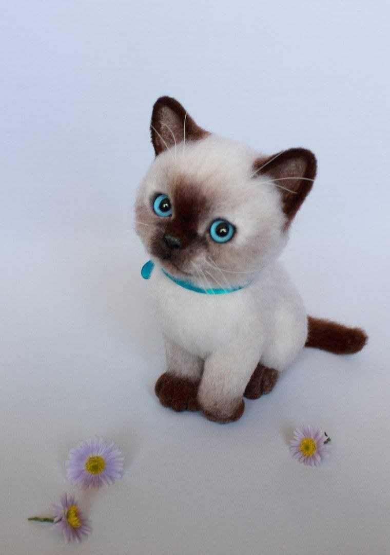 Валяный котик из шерсти