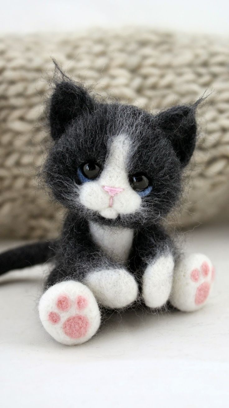 Котенок из Войлока