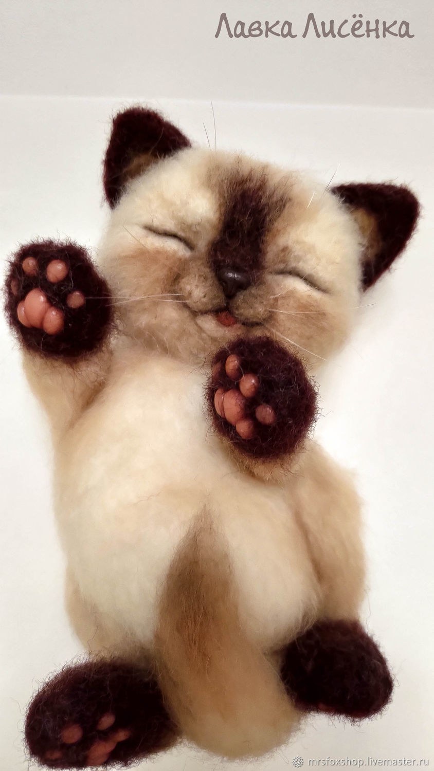 Котенок из Войлока