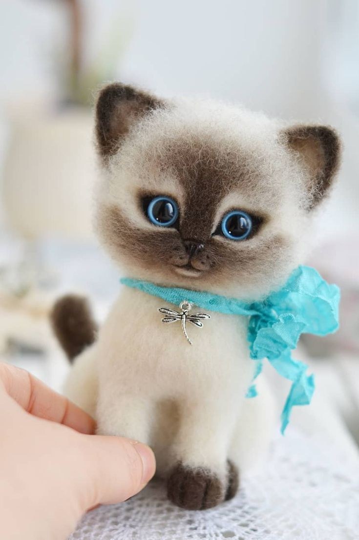 Валяный котенок