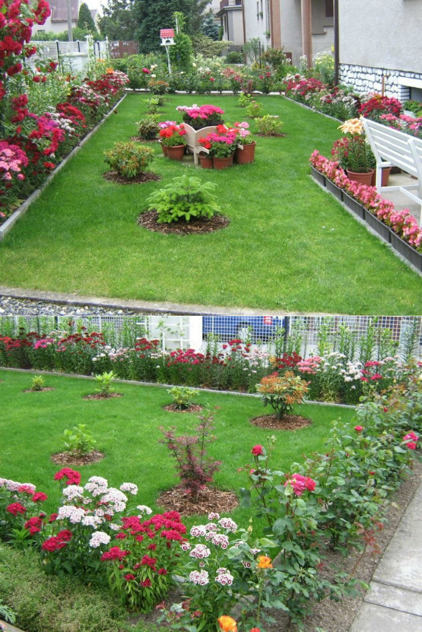 Палисадник Энфилд