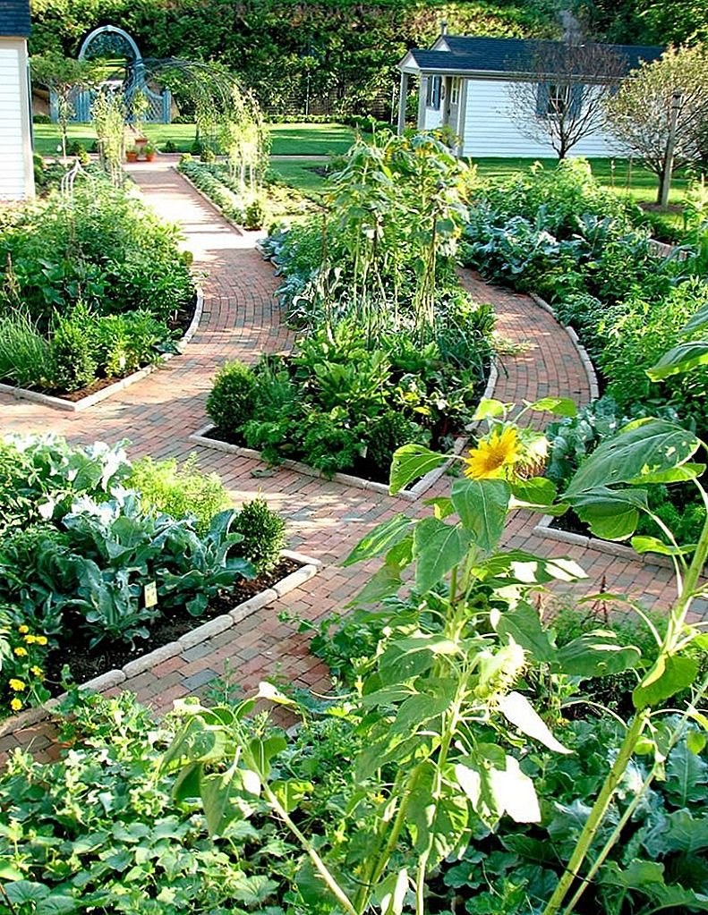 Обустройство сада и огорода