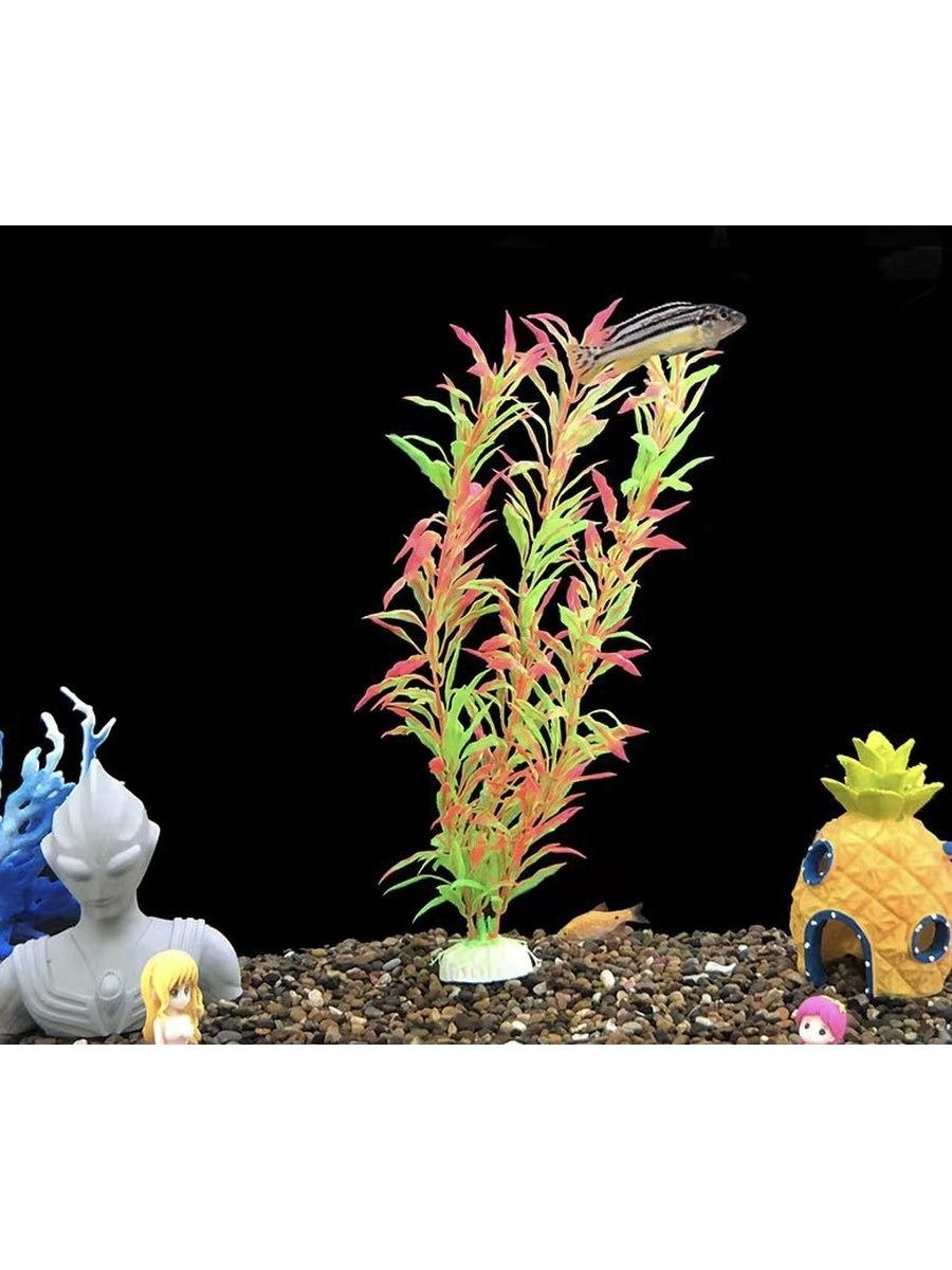 Аквариумные растения