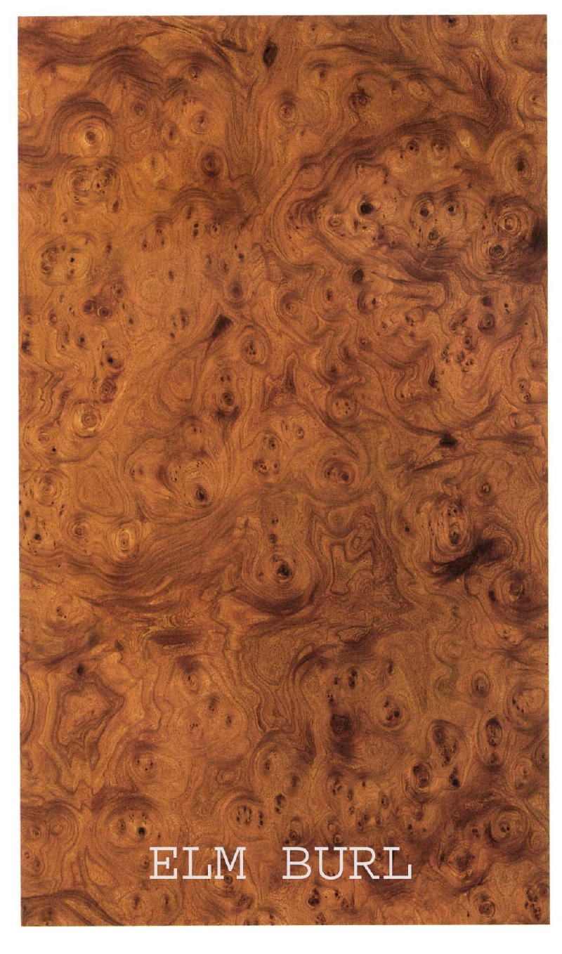 Карельская береза древесина шпон