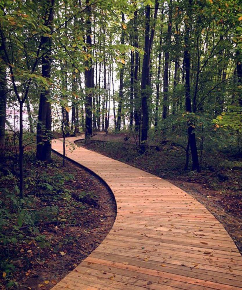 Амфитеатр в Бирюлевском дендропарке