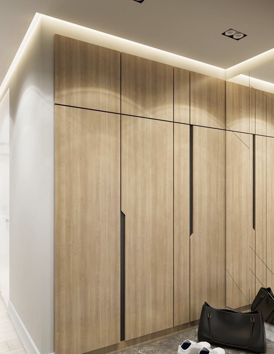 Шпонированный шкаф в стиле Минимализм