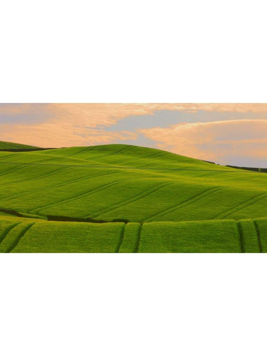 Зелёные холмы Палуз