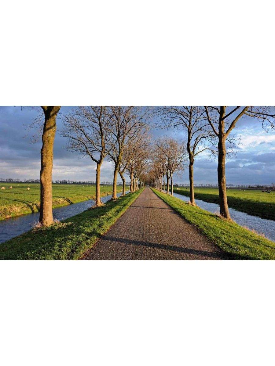 Дорога в парке