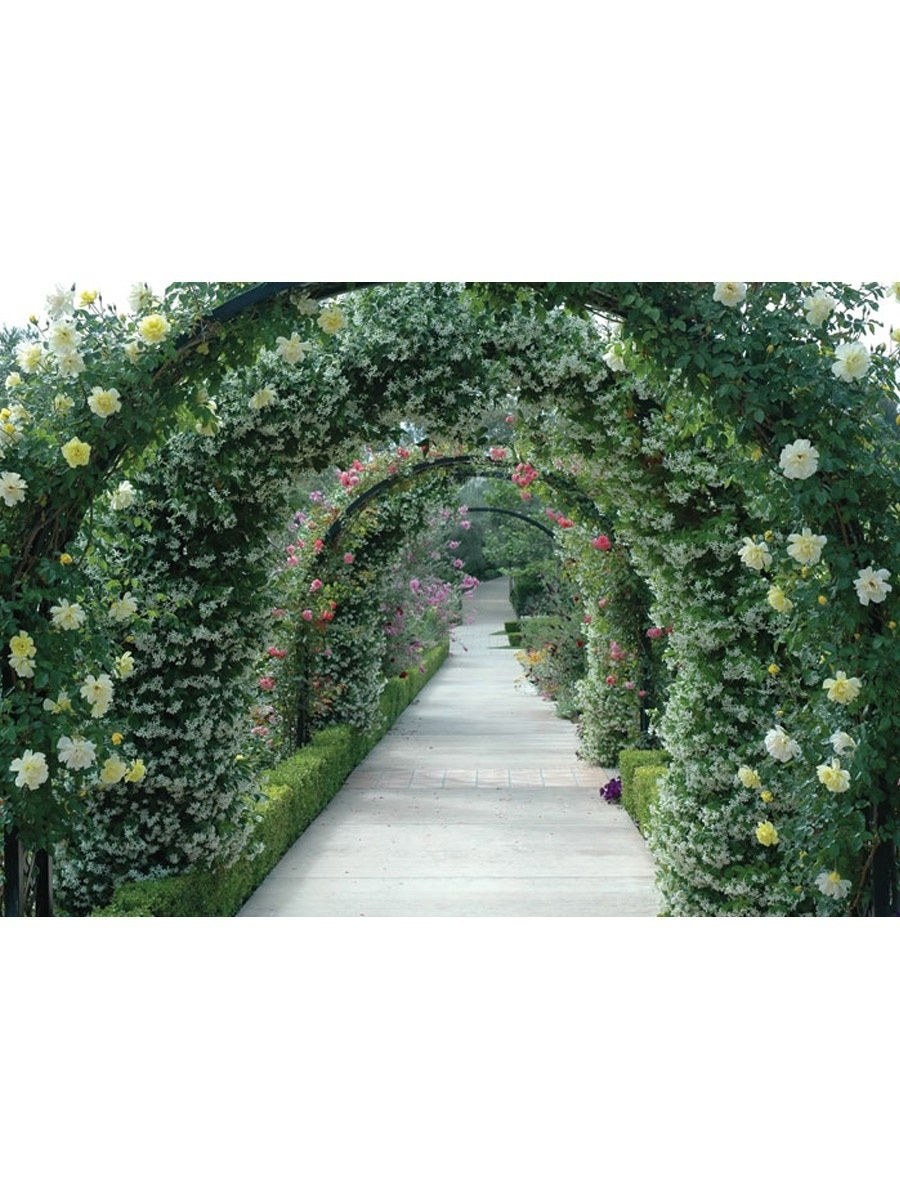 Арка расширяет пространство (66 фото)