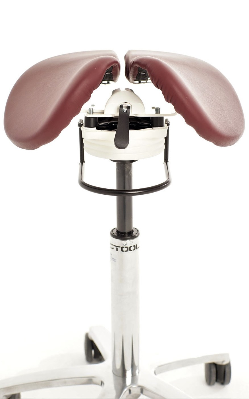 Бестул скуу