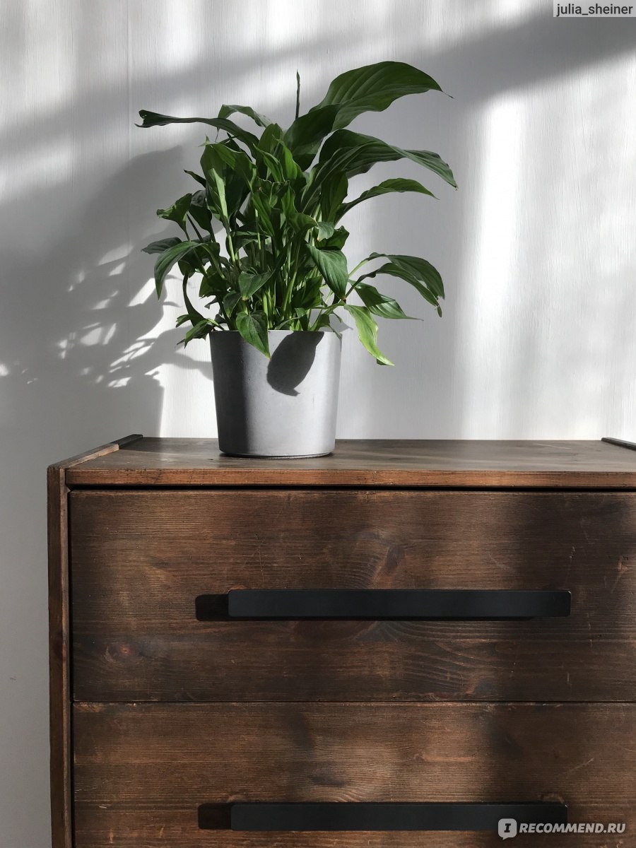 Комод fresco (68 фото)