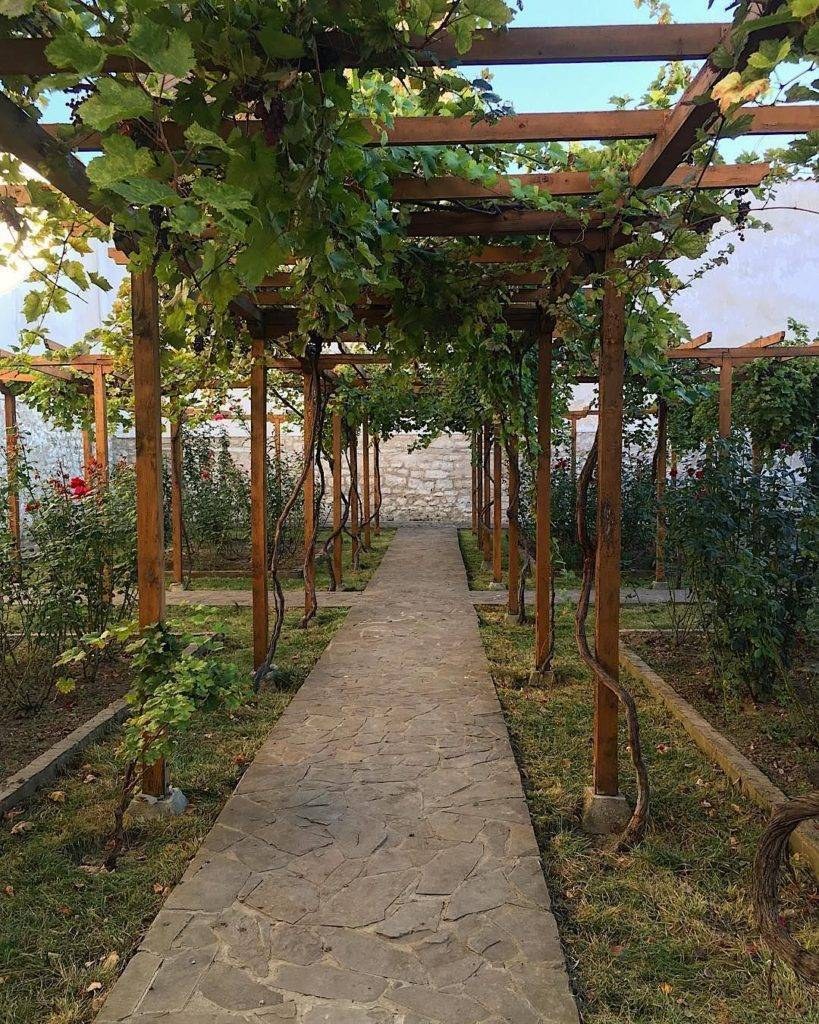 Шпалера пергола для винограда