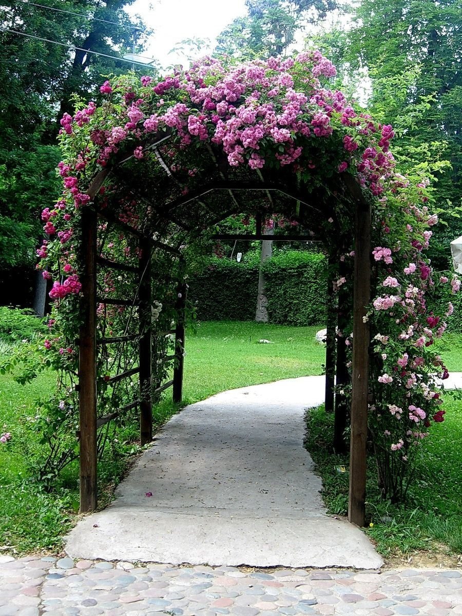 Арка Садовая пергола Розария