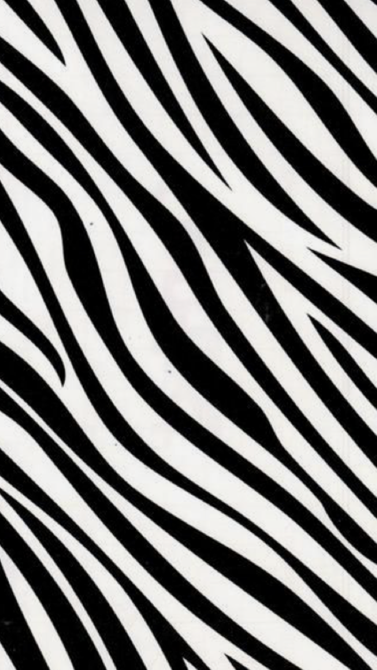 Бумажные обои зебра белые (73 фото)