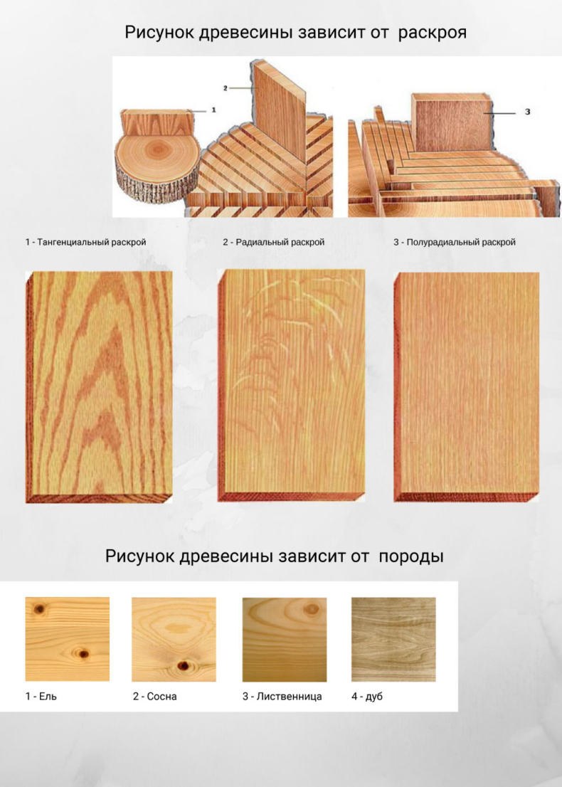 Тангенциальный и радиальный распил дуба